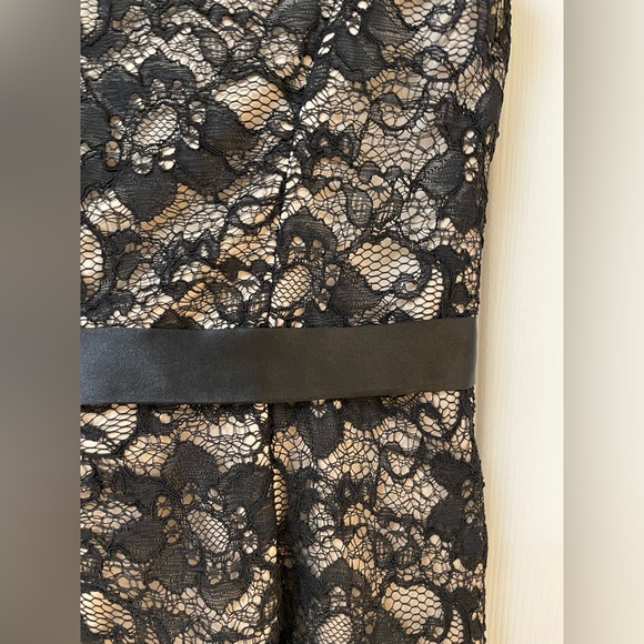 Classic Silhouette Lace Overlay Bodycon Dress - Picture 3 of 9